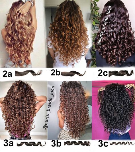 3b Hair, Curly Hair Care Routine, Curly Hair Tutorial, Curly Hair Types, Different Hair Types, Curly Hair Styles Easy, Curly Girl Method, Healthy Hair Tips, Curly Hair Care