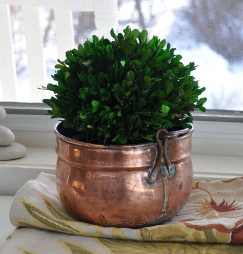 6 Creative DIY Ways To Display Houseplants Copper Plant Pot, Copper Planters Indoor, Copper Pot Decor Ideas, Copper Bowl Decor Ideas, Brass Decor Ideas, Copper Bowl Decor, Copper Pots Display, Indoor Plant Display, Vintage Copper Pots