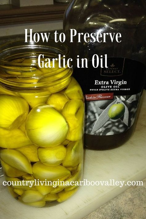 How to preserve Garlic in oil. Usually you can store Garlic in a basket on your counter, but sometimes you have to find another way to keep it. Here is how you can do that! How To Store Fresh Garlic Cloves, Store Garlic Cloves How To, How To Preserve Peeled Garlic, How To Store Peeled Garlic, Storing Peeled Garlic, Storing Garlic Cloves, Preserve Garlic Cloves, How To Store Garlic Long Term, How To Preserve Garlic Cloves