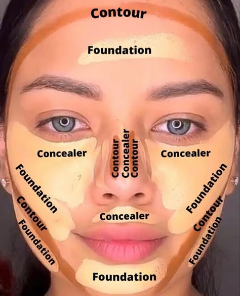 Snatched Face Makeup, Begginer Make Up Tutorial Natural, Face Makeup Guide, Face Contouring Makeup, Contour Makeup Tutorial, Makeup Order, Beginners Eye Makeup, Makeup Artist Tips, Makeup Lessons