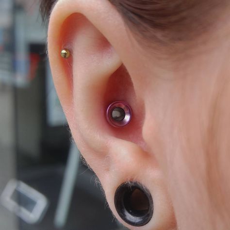 Piercing Ideas Grunge, Piercing Ideas Conch, Conch Piercing Ideas, Student Christmas Gifts, Piercing Ideas, Conch Piercing, Tattoo Models, Pretty Jewellery, Conch