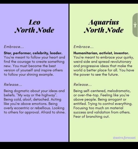 North Node Leo, Alt Hippie, Virgo Things, Astrology Charts, Sidereal Astrology, Productive Lifestyle, Psychic Development Learning, Astrology Houses, North Node