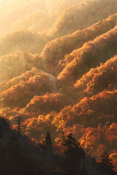 Autumn In Tennessee, Smokey Mountains Tennessee Fall, East Tennessee Aesthetic, Appalachia Aesthetic, Tennessee Landscape, Smokie Mountains, Tennessee Aesthetic, Tennessee Fall, Fall Sunrise