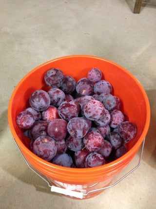 Plum Liqueur Recipe, Plum Drink Recipe, Plum Moonshine Recipes, Plum Wine Recipe, Homemade Plum Wine, Canning Plum Juice, Plum Infused Vodka, Moonshine Recipes Homemade, Homemade Alternatives