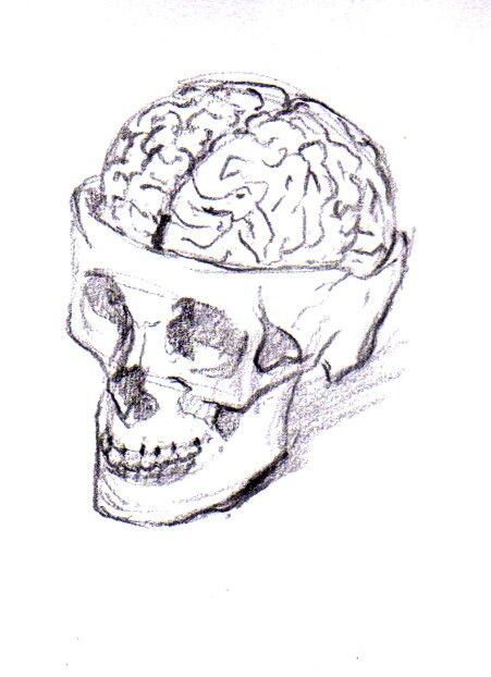 Pic 1 skull with exposed brain Human Brain Drawing, Tattoos Family, Brain Painting, Clock Tattoos, Pet Tattoos, Tattoo Machine Tattoo, Gothic Drawings, Tattoo Ideas Unique, Brain Drawing