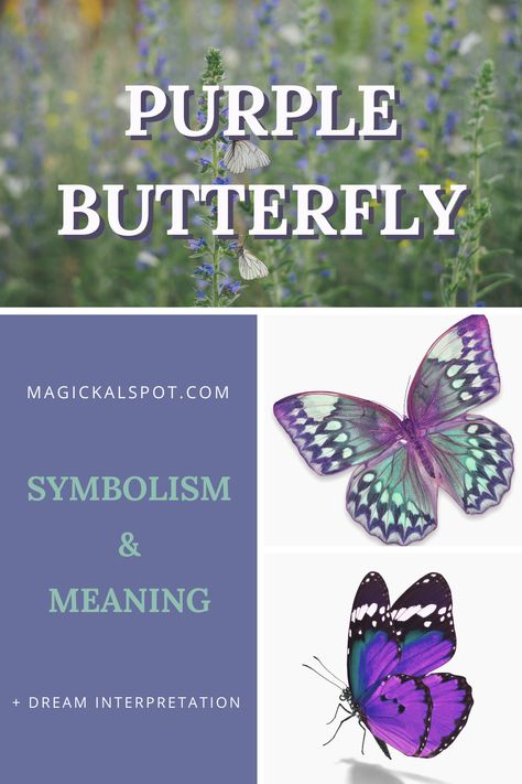 Butterfly Meaning Symbols, What Do Butterflies Symbolize, White Butterfly Symbolism Meaning, Purple Butterfly Meaning, Butterfly Symbolism Meaning, Blue Butterfly Symbolism Meaning, Butterfly Names, Tree Of Life Meaning, Butterfly Blessings