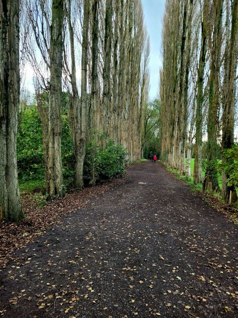 via Stenner Lane, Didsbury, Manchester, Greater Manchester UK. Kent Canterbury, Didsbury Manchester, Dunsborough Park, Manchester Scenery, The Canterbury Tales Book, Gates Of Hell, City Council, Greater Manchester, Saint James