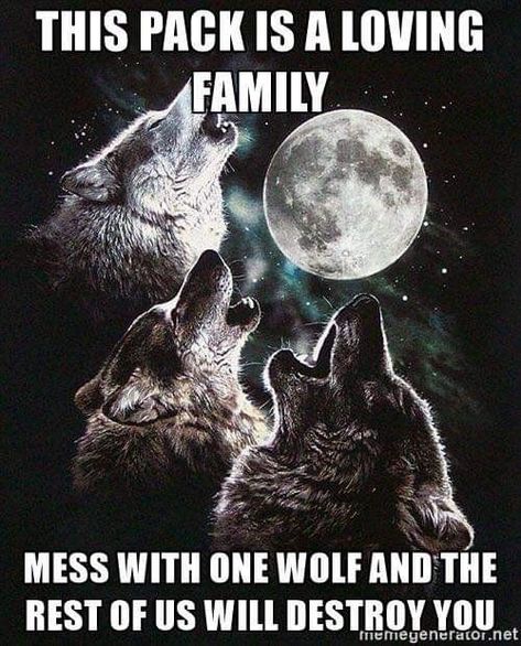 Wolf Pack Quotes, Inspirational Animal Quotes, Wolf Meme, Lone Wolf Quotes, Fierce Quotes, Werewolf Aesthetic, Words To Live By Quotes, Quotes Family, Wolf Images