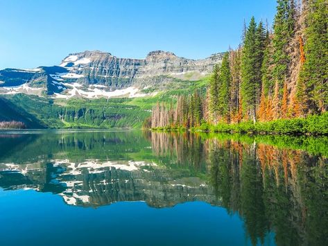 40+ Awesome Things to Do in Waterton Lakes National Park - Spiritual Travels Waterton National Park, Waterton Lakes National Park, Driftwood Beach, Lake Boat, Anniversary Trips, Boat Rental, Dear Reader, Glacier National Park, Alberta Canada