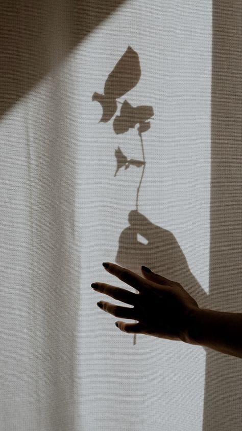 Playing With Shadows Photography, Artistic Shadow Photography, Hand Shadow Photography, Shadow Work Images, Light And Shadow Photography Photo Ideas, Metaphorical Photography, Silhouette Photography Nature, Shadow Work Aesthetic, Snoot Photography Lighting