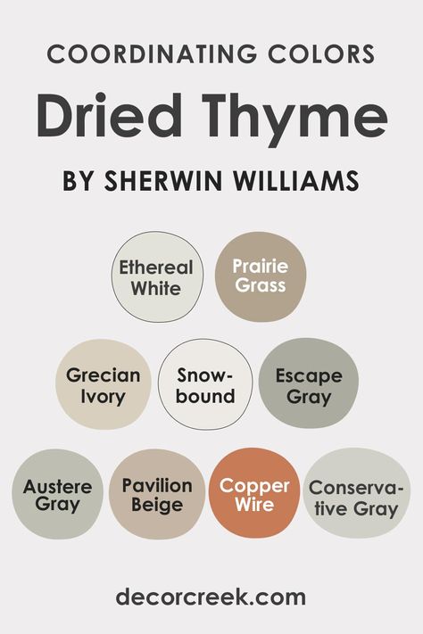 Dried Thyme Paint Color, Dried Thyme, Sherwin Williams Dried Thyme Coordinating Colors, Sw Dried Thyme Coordinating Colors, Dried Thyme Coordinating Colors, Dried Thyme Sherwin Williams Kitchen, Dried Thyme Color Palette, Dried Thyme Sherwin Williams Bedroom, Sw Dried Thyme