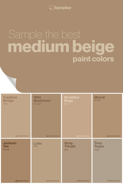 Sample the best medium beige paint colors with Samplize to enhance your living space effortlessly! Tan Benjamin Moore Paint Colors, Mocha Living Room Ideas, Soft Brown Paint Colors, Mocha Paint Colors Living Room, Creamy Tan Paint Colors, Mocha Wall Paint, Sandy Paint Colors, Teal And Orange Living Room Decor, Mocha Paint Colors