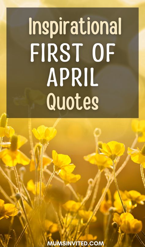 Explore our Welcome April Quotes for a refreshing blend of inspirational, aesthetic, and even funny quotes to bid goodbye to April and kickstart the new month with motivation and positivity. From delightful hello April greetings to heartfelt happy new month wishes, each quote will uplift your spirit. Enjoy a variety of letterboard quotes perfect for your 1st April celebrations or to mark your special birthday month if you're born in April. Welcome April Quotes, April Greetings, Hello April Quotes, Happy New Month Wishes, Hello March Quotes, Hello Spring Quotes, Hello May Quotes, Springtime Quotes, Spring Break Quotes