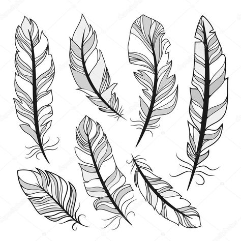 Feather Sketch, Feather Outline, Feather Icon, Denim Quilts, Feather Logo, Feather Drawing, Dollar Photo, Realistic Cartoons, Feather Vector