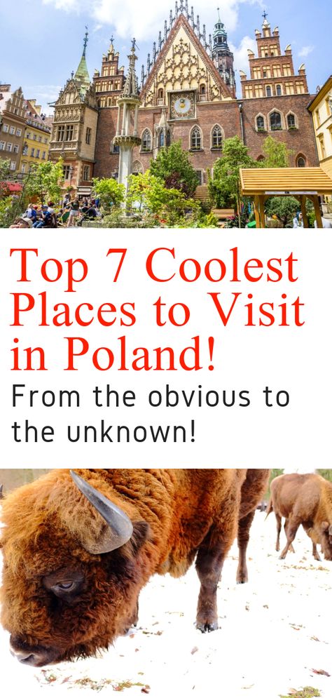 Poland Travel - Want to know what the best places to visit in Poland are? This guide by a local is for you! Krakow, Warsaw, Wroclaw, and a few places only known to Poles! Click to discover Poland! #poland #krakow #warsaw #wroclaw #gdansk #europeantravel #travel #europe Bucket List Europe, Visit Poland, Eastern Europe Travel, Poland Travel, Countries To Visit, Europe Travel Destinations, Travel Articles, Travel Info, Travel Europe