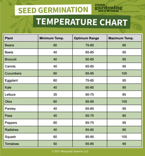 The Beginner Gardener's Seed Germination Temperature Chart - Food Gardening Network Seed Germination Chart, Seed Harvesting, Planting Flowers From Seeds, Different Types Of Seeds, Garden Notes, Temperature Chart, Flower Growing, Starting Seeds, Garden Container