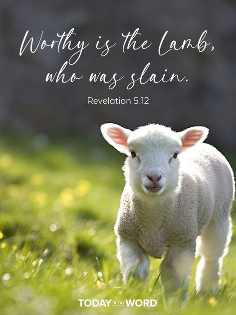 Worthy is the Lamb, who was slain. - REVELATION 5:12. Today in the Word - a daily devotional Bible study🙏 #Christian #bibleverses #christianquotes #christianwallpaper Worthy Is The Lamb, App Story, The Lamb Of God, Devotional Bible, Repent And Believe, Revelation 5, Music Ministry, Sing To The Lord, Lamb Of God