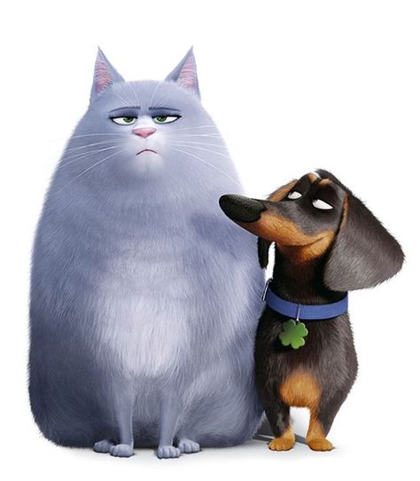 Buddy and Chloe from one of my all time favourite animated films, The Secret Life Of Pets! :D I love Chloe's grumpy expression! XD Pets Movie, Disney Cats, Cute Little Kittens, Secret Life Of Pets, Pet Fish, Cat Character, Dachshund Love, Pet Life, Cats And Dogs