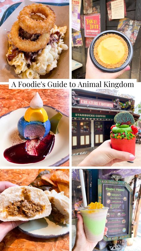 Disney Animal Kingdom Birthday Party, Food At Animal Kingdom, Animal Kingdom Snacks, Animal Kingdom Restaurants, Dessert Animals, Animal Kingdom Food, World Of Pandora, Mango Pie, Disney 2023