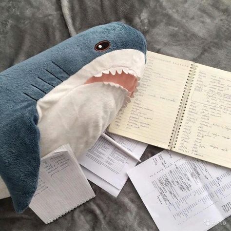 Child Of Poseidon, Stuffed Shark, Percy Jackson Aesthetic, Jackson Aesthetic, Shark Pictures, Shark Plush, Pjo Hoo, Cute Shark, Marine Biology