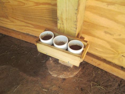 Horse Mineral Feeder, Pvc Goat Mineral Feeder, Goat Mineral Feeder Diy, Diy Mineral Feeder, Goat Mineral Feeder, Goat Feeder, Goat Care, Backyard Farm, Boer Goats