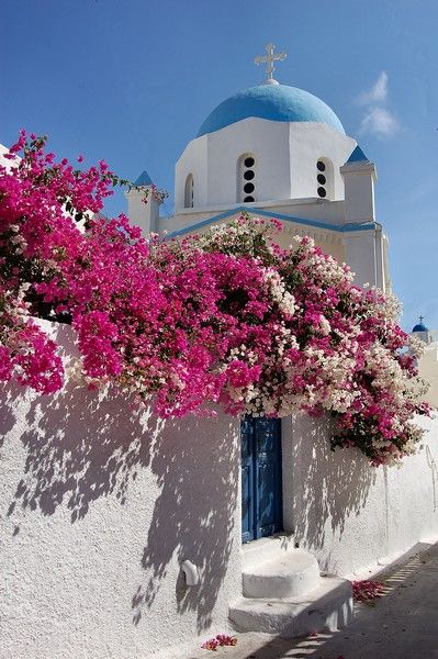 . Grecia Santorini, Santorini Grecia, Olive Leaf Extract, Shine Like A Diamond, Dry And Damaged Hair, Organic Olive Oil, Greek Style, Olive Leaf, Dream Holiday