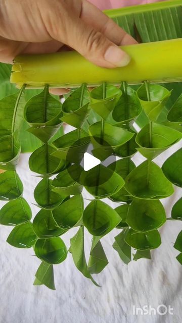 Mango Leaf Decorations, Mango Leaf, Leaf Decoration, Leaf Wall, Best Wall, Cool Walls, Mango, Wall Hanging, Wall Decor