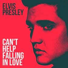 Elvis Presley My Way, Falling In Love Songs, Elvis Presley Quotes, Pink Floyd Lyrics, Elvis Presley Albums, Wise Men Say, Can't Help Falling In Love, Biblical Paintings, Spotify Wrapped