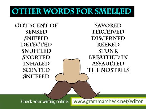 Other words for Smelled Other Words For Thought, Grammar Hacks, Word Replacement, English Improvement, Thesaurus Words, Other Ways To Say, Essay Writing Skills, 28 November, English Teaching