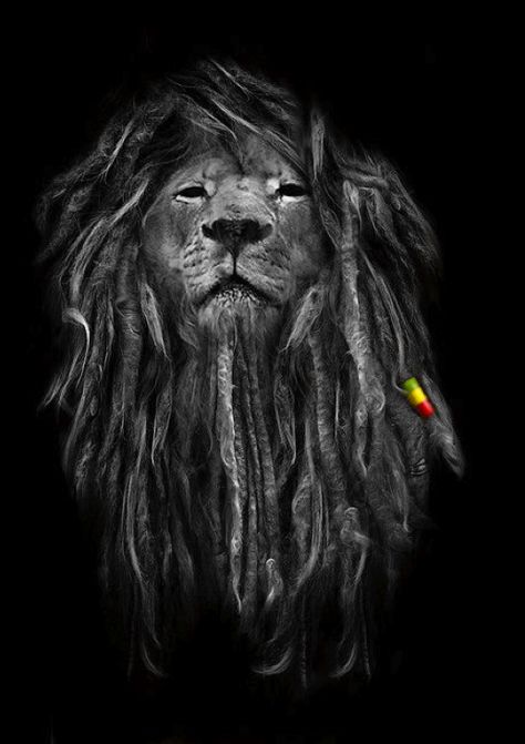 Bob Marley - Iron Lion Zion (Lyrics)  We be Iron, like Lion, in Zion ... give a mighty Roar to the power hungry, hypocrites, unjust tyrants, egotistical elite, liars and those thievin, make them piss-in run cryin! Not in vain, no lie in me mon. Rasta Tattoo, Iron Lion Zion, Bob Marley Tattoo, Bob Marley Lion, Rastafari Art, Lion Stencil, Rasta Art, Bob Marley Pictures, Astrology Tattoo