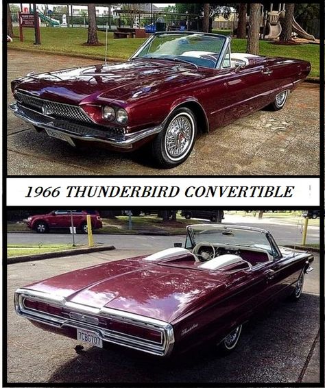 Thunderbird Car, Ford Thunderbird Convertible, Thunderbird Convertible, Luxury Cars Rolls Royce, Hot Rods Cars Muscle, Old Vintage Cars, Ford Car, American Classic Cars, Ford Classic Cars