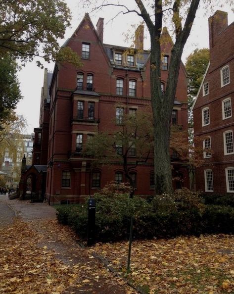 Harvard Uniform, Harvard University Campus, Fall Boston, University Architecture, The Most Beautiful Pictures, Dream College, Dream School, Harvard University, The Pioneer Woman