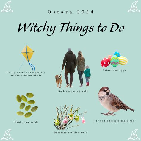 Things to do during Ostara 
#witchcraft #witchcraftspells #modernwitchcraft #witchcraftforbeginners #spring #springtime #springvibes #ostara #spring2024 Ostara Witchcraft, Go Fly A Kite, Bird Migration, Witchcraft For Beginners, Spells Witchcraft, Black Candles, Spring Vibes, The Arrival, Themed Crafts