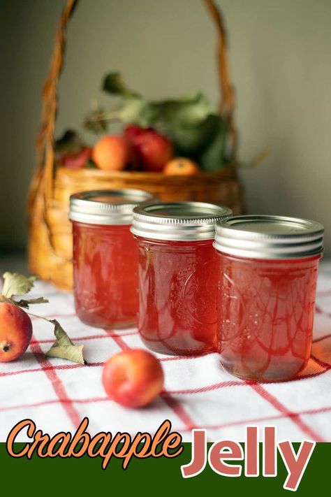 Learn how easy it is to prepare a delicious crabapple jelly, then use the leftover pulp to make crabapple sauce! Crabapple Sauce, Crabapple Jelly Recipe, Assyrian Recipes, Crabapple Jelly, Crab Apple Jelly, How To Make Pickles, How To Make Jelly, Fermented Pickles, Apple Jelly