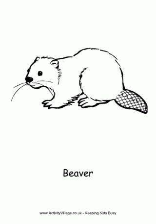 Beaver Colouring Page Rabbit Pancakes, Beaver Pictures, Beaver Drawing, Work Doodles, Beaver Cartoon, Activity Village, Alphabet Animals, Fathers Day Coloring Page, Wood Badge