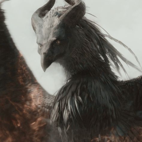 Maleficent Dragon Art, Maleficent Moors Creatures, Maleficent Phoenix Tattoo, Maleficent Phoenix Form, Maleficent Fanart, Harpy Aesthetic, Maleficent Art, Creature Movie, Maleficent Dragon