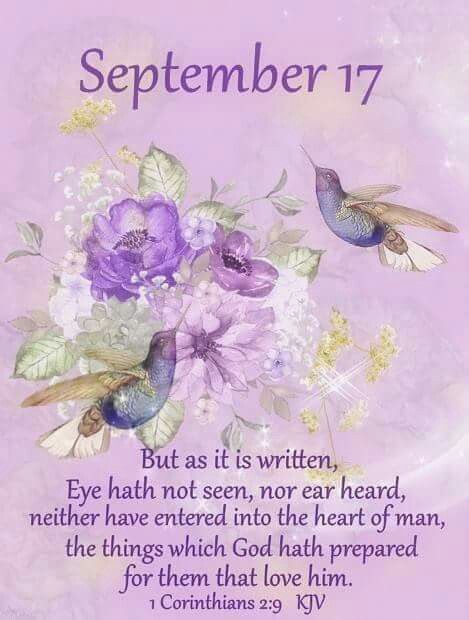 Magnificent Monday! September Blessings, September Images, September Quotes, Words Of Faith, Scripture Images, September Calendar, J 1, Purple Flowers Wallpaper, Daily Blessings