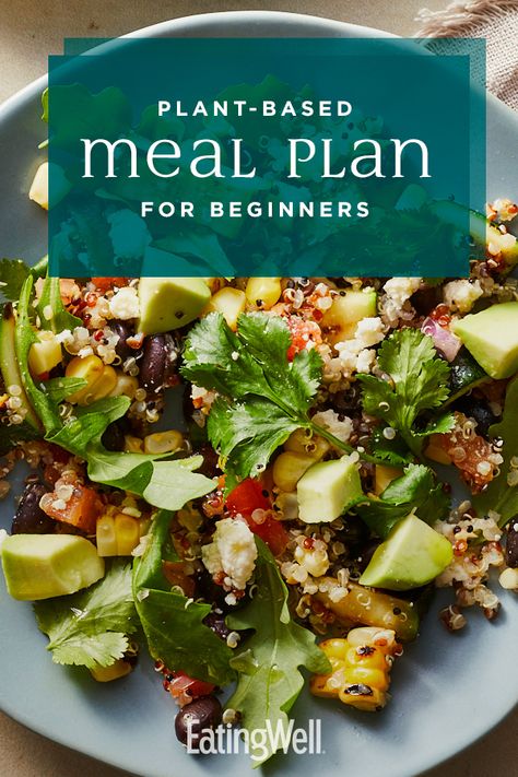 Plant Based Lunch Ideas, Plant Based Meal Plan, Plant Based Meals, Plant Based Diet Meals, Plant Based Meal, Plant Based Diet Meal Plan, Meal Plan For Beginners, Vegetarian Ideas, Plant Based Meal Planning