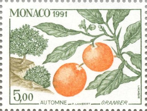 Tree In Autumn, Postage Stamp Design, Plant Tattoo, Mail Stamp, Postage Stamp Art, Vintage Botanical Prints, Pretty Images, Orange Tree, Sister Tattoos