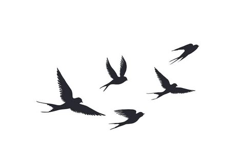 Swallow Silhouette, Flying Bird Vector, Tattoo Fly, Bird Silhouette Tattoos, Flying Bird Silhouette, Birds Silhouette, Little Bird Tattoos, Silhouette Tattoo, Vogel Silhouette