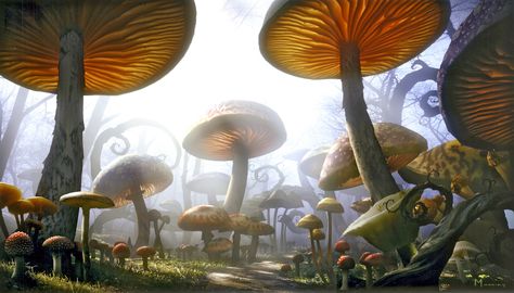 brown mushroom digital wallpaper #mushroom fantasy art #plants digital art #nature #render #4K #wallpaper #hdwallpaper #desktop Quotes Alice In Wonderland, Alice In Wonderland Mushroom, Dylan And Cole, Mushroom Wallpaper, Mia Wasikowska, John Tenniel, Tim Burton Films, Arthur Rackham, Seni Cat Air