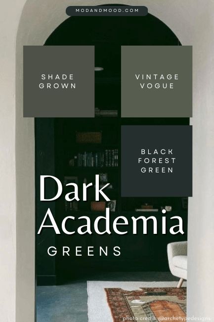 Moody Man Office, Dark Aesthetic Color Pallet, Dark Wall Interior, Behr Dark Academia, Dark Academia Aesthetic Paint, Moody Dark Bathroom Ideas, Dark Interior Paint Ideas, Sw Nightwatch, Deep Moody Color Palette