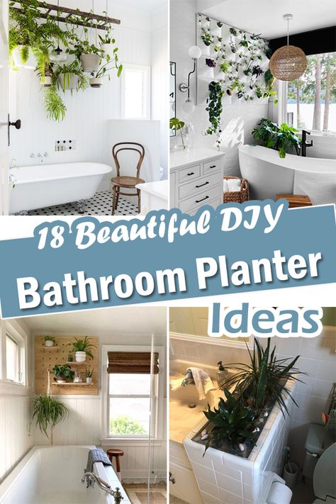 Do you want to grow plants in your washroom? Here are some awesome DIY Bathroom Planter Ideas to get inspired! Hanging Plants Bathroom Small Spaces, Wall Planters Bathroom, Indoor Shower With Plants, Bathroom Plant Shelf Ideas, Bathroom Vertical Garden, Bathroom Ceiling Plants, Hanging Plants Over Bathtub, Shower Plants Bathroom Hanging, Bathroom Wall Plant Ideas