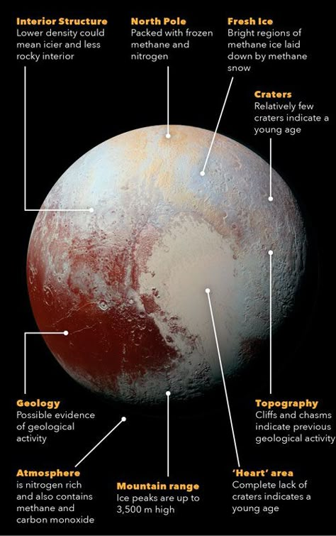 Pluto The Planet, Pluto Illustration, Pluto Images, Space Mining, Olympus Mons, Pluto Planet, Nasa Solar System, Interesting Fun Facts, Tata Surya