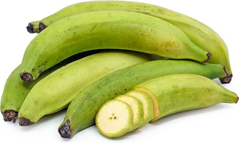 Green Plantain Bananas Information, Recipes and Facts Green Plantains, Africa Food, Lectin Free, Green Banana, Caribbean Food, Banana Chips, Food And Nutrition, Fish Fish, Medical Health