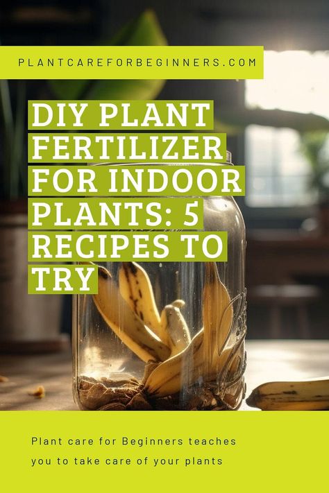 Air Plant Fertilizer Diy, House Plant Fertilizer Diy, Fertilizer For Water Plants, Diy Fertilizer For Indoor Plants, Natural Fertilizer For Indoor Plants, Diy Plant Fertilizer Houseplant, Diy Plant Food Houseplant, Diy Plant Fertilizer, Liquid Fertilizer For Plants