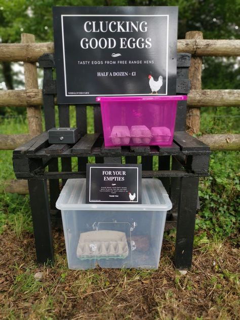 Farm Fresh Egg Business, Roadside Egg Stand Cooler, Farm Fresh Eggs Stand, Pallet Egg Stand Roadside, Egg Honesty Box Ideas, Egg Roadside Stand, Chicken Egg Stand Ideas, Egg Sale Stand, Eggs For Sale Stand