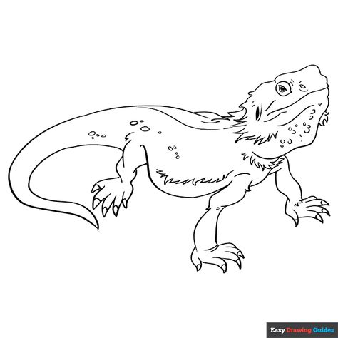 Free printable bearded dragon lizard coloring page Bearded Dragon Coloring Page, Bearded Dragon Tattoo Outline, Bearded Dragon Doodle, Bearded Dragon Outline, Simple Bearded Dragon Drawing, Bearded Dragon Sketch, Bearded Dragon Drawing, Lizard Drawing, Tattoos Stencils Outline