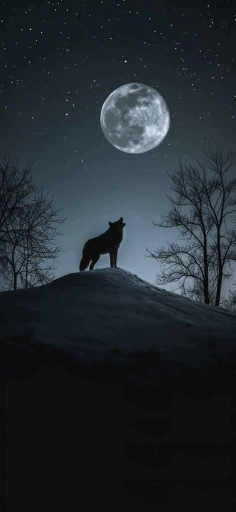 Wolf And Moon, God Of Wars, Dream Photo, Childhood Tv Shows, Wolf Spirit Animal, Animation Artwork, Wolf Spirit, Artist Quotes, Wolf Moon