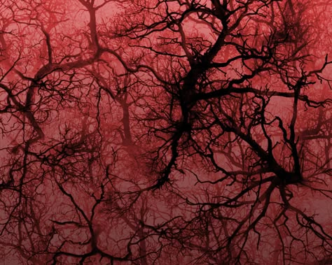 Tree Veins | ALK3R Dark Red And Pink Aesthetic, Gothic Highlight Covers, Castle House Island, Red Veins, Highlights Cover, Theme Pictures, Blood Art, Dark Gothic, 3d Texture